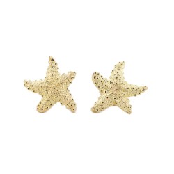 Boucles d'oreilles Or Jaune...